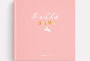 Álbum Hello Baby intro